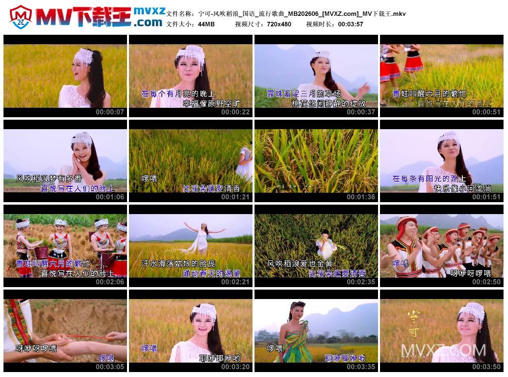 宁可-风吹稻浪_国语_流行歌曲_MB202606